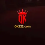 OK222 Game logo