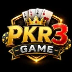 PKR3 Game logo